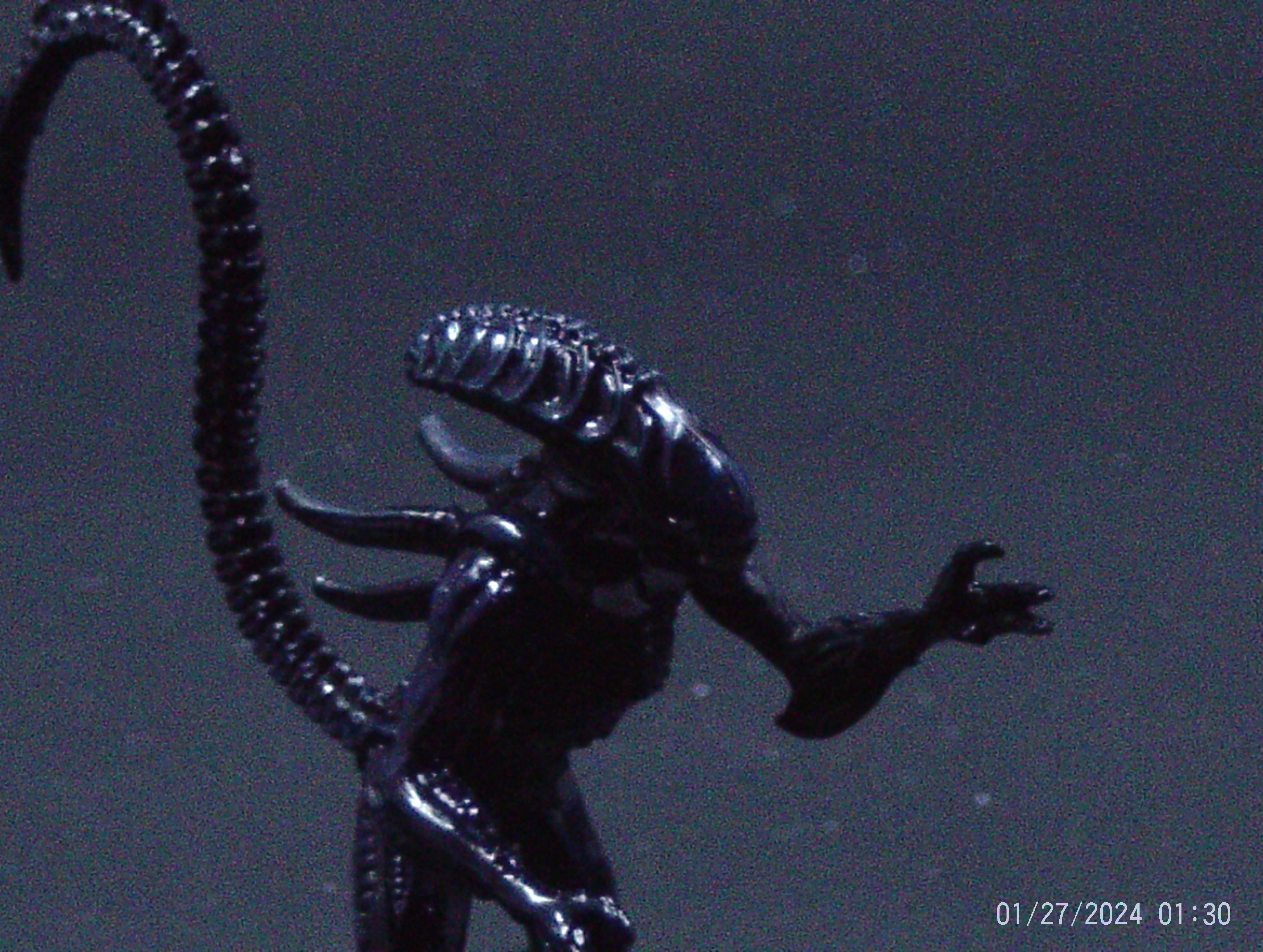 Aliens, Colonial, Facehugger, Giger, Horrors, Soldier, Space Marines